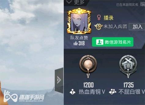 和平精英【EAD内部】辅助